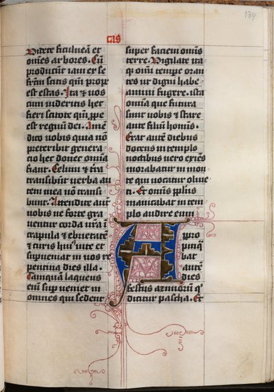 Libro de los Evangelios con Retratos de Evangelistas: Inicial Decorada de Hausbuch Master