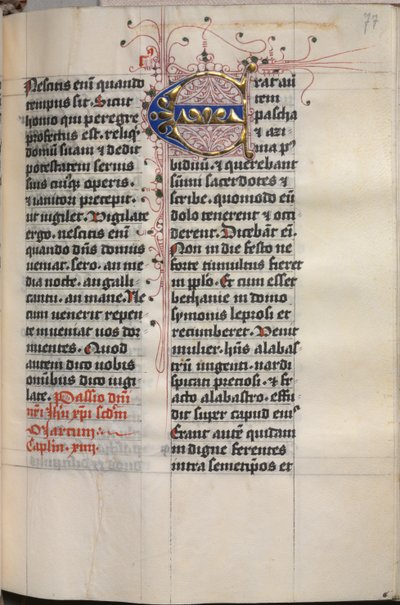 Libro de los Evangelios con Retratos de Evangelistas: Inicial Decorada de Hausbuch Master
