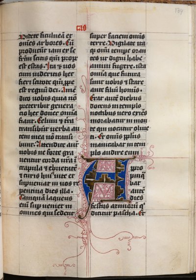 Libro de los Evangelios con retratos de evangelistas: Inicial decorada, c. 1480 de Hausbuch Master