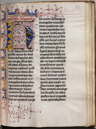 Libro de los Evangelios con Retratos de Evangelistas: Inicial Decorada, c. 1480 de Hausbuch Master
