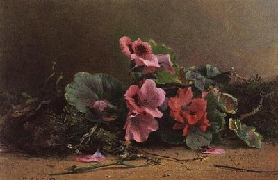 Un estudio de geranios de Hector Caffieri