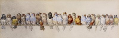 Un percha de pájaros, c.1880 de Hector Giacomelli
