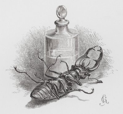 El insecto: Escarabajo muerto (grabado) de Hector Giacomelli