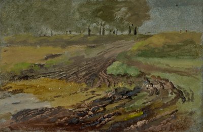 Pistas de carritos en el campo de Heinrich Burkel