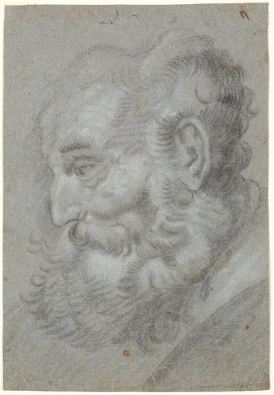 Cabeza de anciano, perfil hacia la izquierda de Heinrich Dittmers