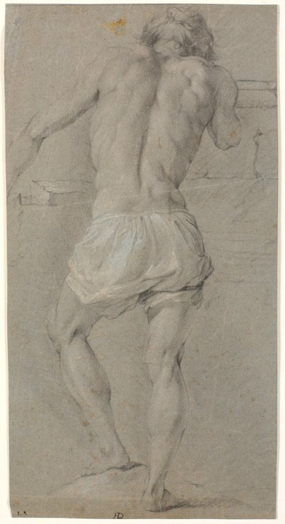 Modelo masculino de pie, visto desde atrás de Heinrich Dittmers