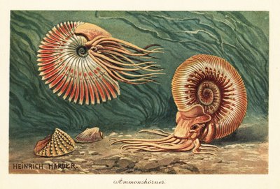 Ammonites extintos nadando en el océano. de Heinrich Harder