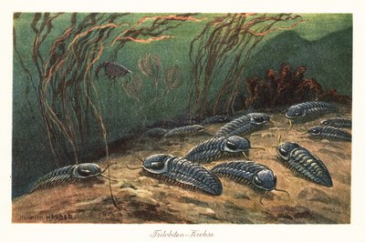 Trilobites extintos en el fondo del océano. de Heinrich Harder
