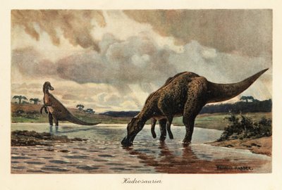 Hadrosaurios o dinosaurios con pico de pato alimentándose en un río. de Heinrich Harder