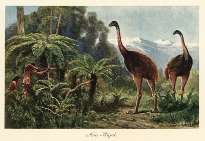 Pájaros moa cazados por hombres con arcos y flechas. de Heinrich Harder