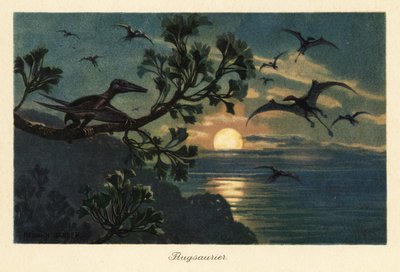 Pterosaurios Rhamphorhynchus volando a la luz de la luna. de Heinrich Harder