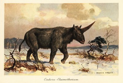 Unicornio siberiano, Elasmotherium sibiricum, en una llanura nevada. de Heinrich Harder