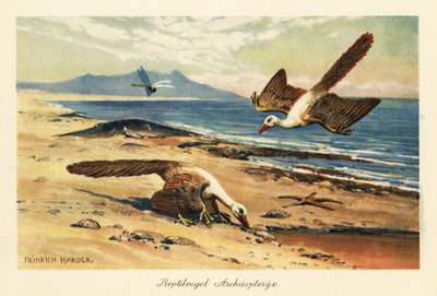 Dos Archeopteryx forrajeando en la orilla. de Heinrich Harder