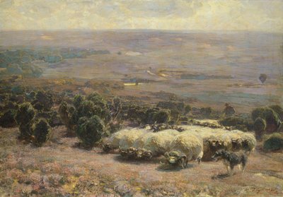 Un rebaño de ovejas en Luneburger Heide, 1902 de Heinrich Johann von Zugel
