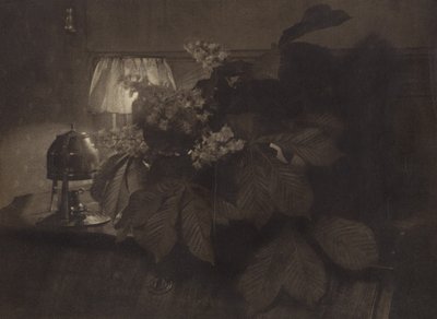 [Bodegón con flores de castaño de Indias, lámpara y urna] de Heinrich Kuhn