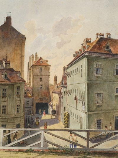 El Neutor con el Stockhaus en Viena de Heinrich Lang