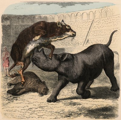 Antigua Roma: Animales luchando en el anfiteatro de Heinrich Leutemann