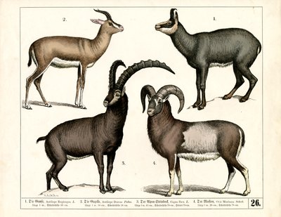  de Heinrich Leutemann
