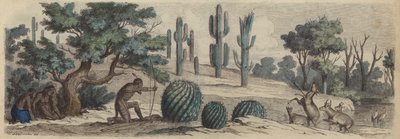 Colorado de Heinrich Leutemann