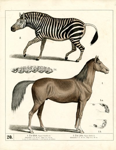  de Heinrich Leutemann