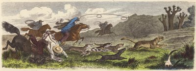 Caza de puma con lazos en Brasil de Heinrich Leutemann