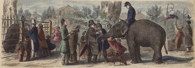 En un jardín zoológico en Alemania de Heinrich Leutemann