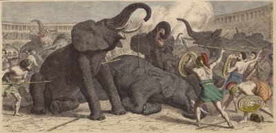 Matanza de elefantes capturados en una arena romana de Heinrich Leutemann