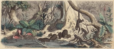 Ribera en Guayana de Heinrich Leutemann