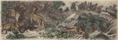 Sudáfrica de Heinrich Leutemann