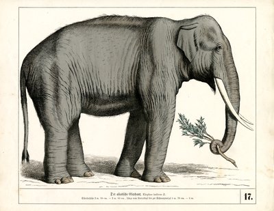  de Heinrich Leutemann