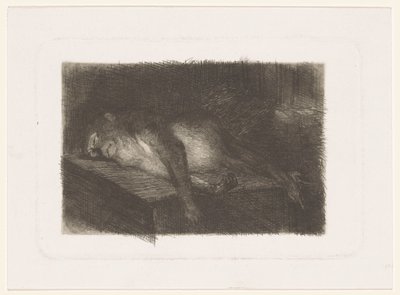 Mono acostado y dormido de Heinrich M. Krabbé