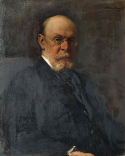 El jefe de sección Alfred Ritter von Bernd de Heinrich Rauchinger