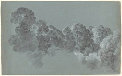 Copas de Árboles del Bosque Iluminadas de Heinrich Rieter