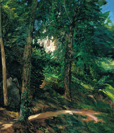 Terrenos del Castillo en Lichtenberg en Odenwald, 1900 de Heinrich Wilhelm Trübner