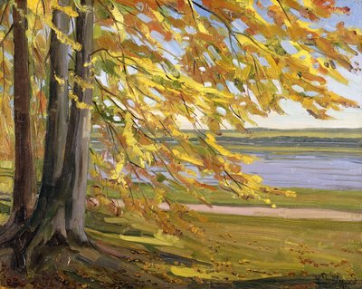 Lago Starnberg de Heinrich Wilhelm Truebner