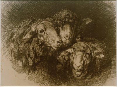 Ovejas de Heinrich von Zügel