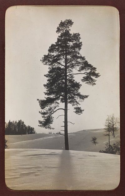 Primera Guerra Mundial: Ucrania en los años 1914-1916 durante la invasión del ejército alemán. Paisaje con nieve de Heldenfriedhof Dsessentniki (attr. to)