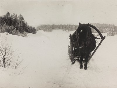 Primera Guerra Mundial: Ucrania en los años 1914-1916 durante la invasión del ejército alemán. Trineo tirado por caballos en la nieve de Heldenfriedhof Dsessentniki (attr. to)