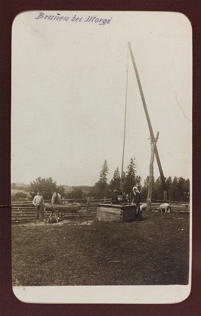 Primera Guerra Mundial: Ucrania en los años 1914-1916 durante la invasión del ejército alemán. Un pozo (foto en blanco y negro) de Heldenfriedhof Dsessentniki (attr. to)