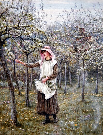 Tiempo de floración de Helen Allingham