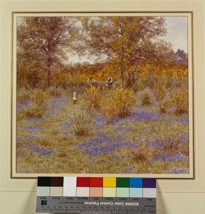 Bosque de campanillas, 1889 de Helen Allingham