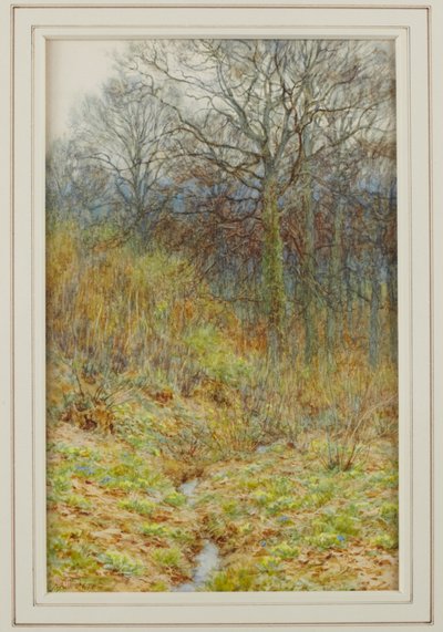 Nuestro bosque de prímulas, 1913 de Helen Allingham