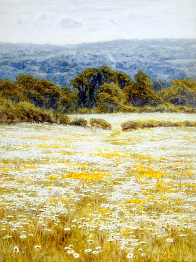 Margaritas de Ojo de Buey, cerca de Westerham, Kent de Helen Allingham