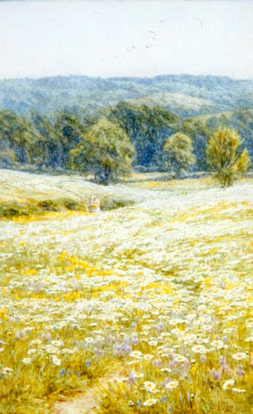 Margaritas de Ojo de Buey, cerca de Westerham, Kent de Helen Allingham
