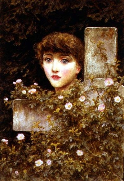 Dolor - Una Rosa Silvestre de Helen Allingham