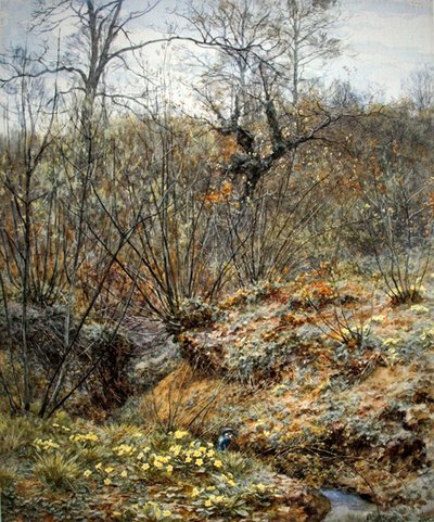 Bosque de primavera, Witley, Surrey de Helen Allingham