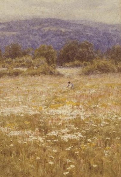 Flores de Verano de Helen Allingham
