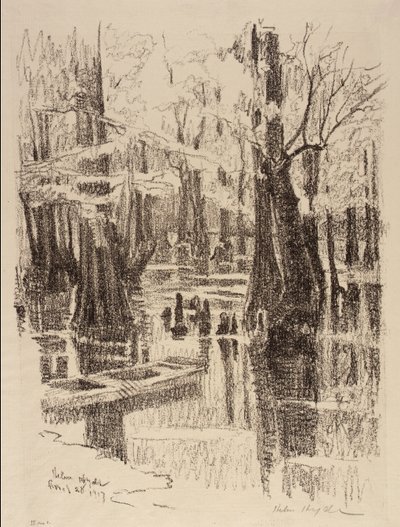 Pantano de los Cipreses de Helen Hyde