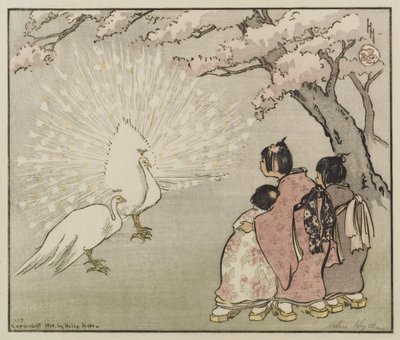 Pavo real blanco, 1914 de Helen Hyde