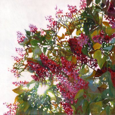 Aglow, 2015 de Helen White